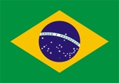 drapeau-bresil_503.jpg