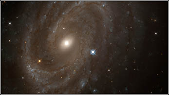gal-10.jpg