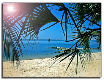 plage.jpg